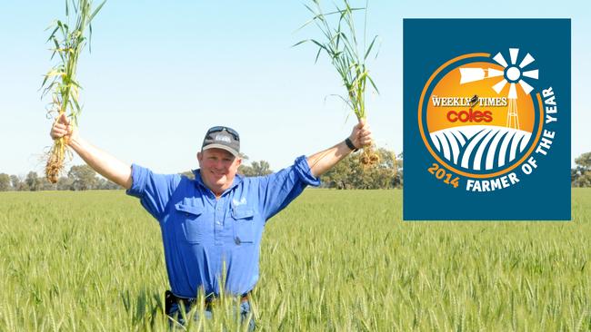 Zero tolerance: Andrew Russell in a wheat crop near Rutherglen last week.