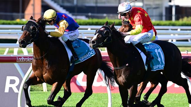 Cifrado and Damien Thornton combined to win the $1m Aquis Stallions Sires' Produce at Eagle Farm, surviving a protest. Picture: Grant Peters–Trackside Photography