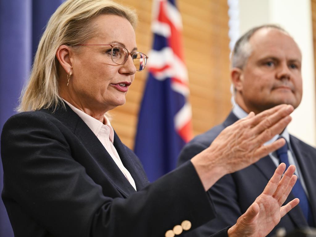 Newly elected Opposition Leader, Sussan Ley and Deputy Leader Ted O'Brien at Parliament House in Canberra. Picture: NewsWire / Martin Ollman