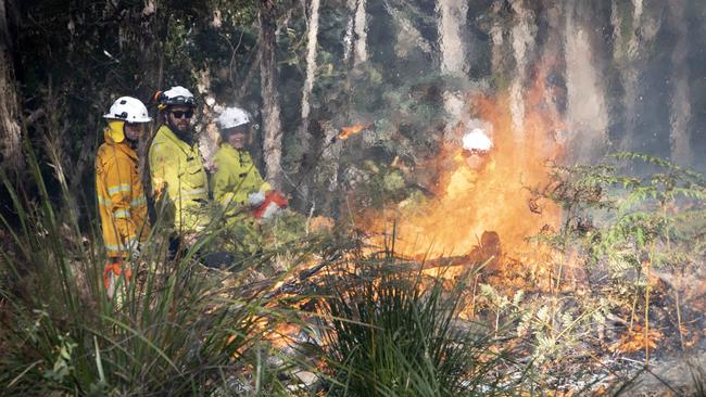 City of Hobart fire crews during bushfire training drills and fuel reduction burns at South Hobart. Picture: Chris Kidd