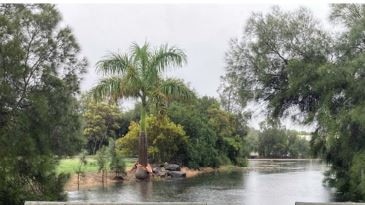 Beach Milieu Urban Wetland