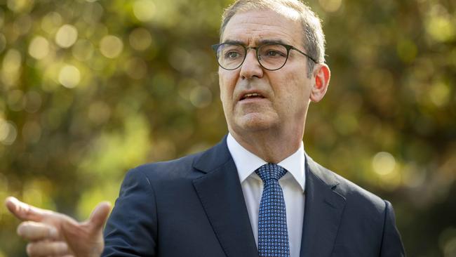 Premier Steven Marshall. Picture: NCA NewsWire / Naomi Jellicoe