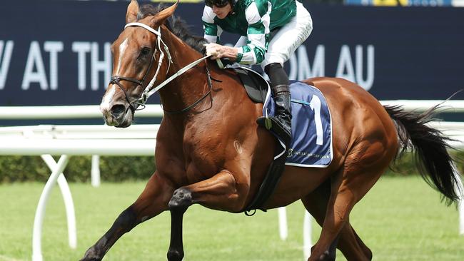 SYDNEY, AUSTRALIA - FEBRUARY 08: James McDonald riding Via Sistina participates in an exhibition gallop after Race 1 during Sydney Racing at Royal Randwick Racecourse on February 08, 2025 in Sydney, Australia. (Photo by Jeremy Ng/Getty Images)