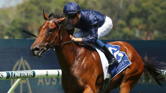 Learning To Fly makes her long-awaited comeback on Saturday. Picture: Jeremy Ng/Getty Images