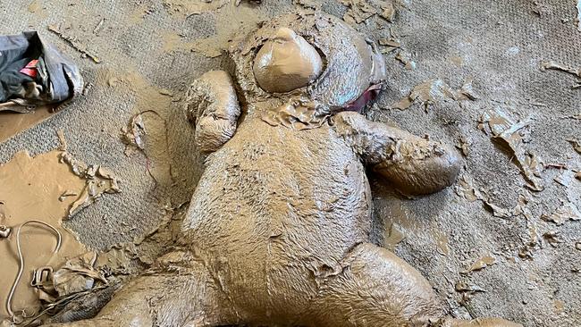 A sludge-covered teddy inside a house on Casino St, South Lismore. Picture: Norm Black