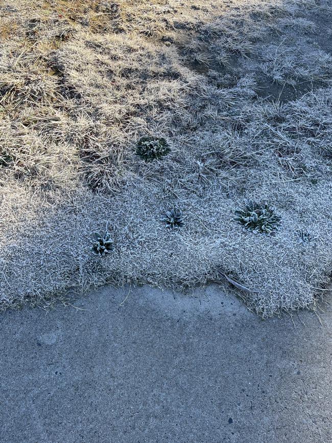 Stanthorpe residents woke up to some frosty conditions on Wednesday morning. Photo: Madison Mifsud-Ure / Stanthorpe Border Post