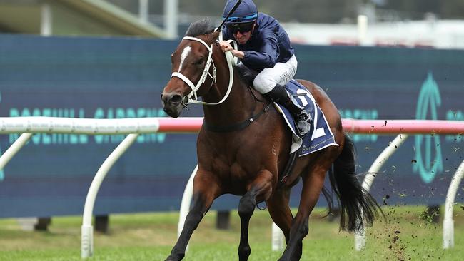 Switzerland winning the Consul Stakes on the weekend Picture: Getty Images