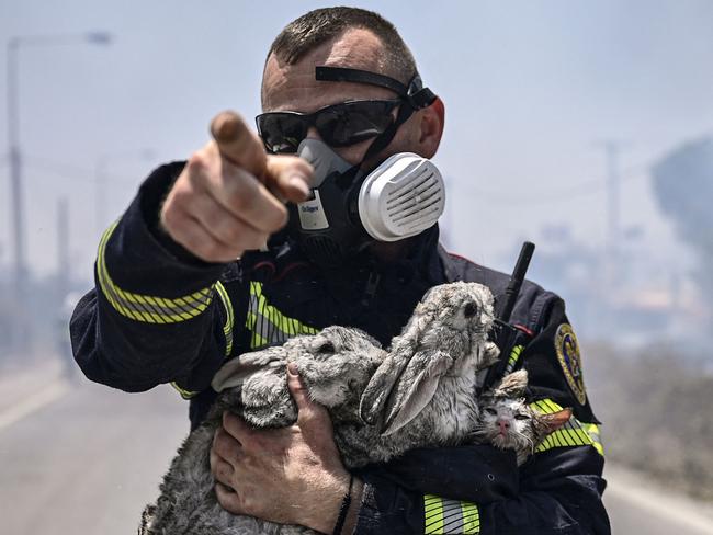 A fireman gestures as he holds a cat and two rabbits rescued from a fire between the villages of Kiotari and Gennadi on the Greek island of Rhodes on July 24, 2023. The fire crisis, in peak tourism season, sparked the country's largest-ever wildfire evacuation. Picture: Spyros Bakalis / AFP