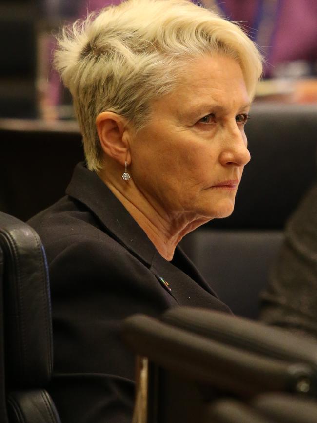 Kerryn Phelps at a City of Sydney council meeting.