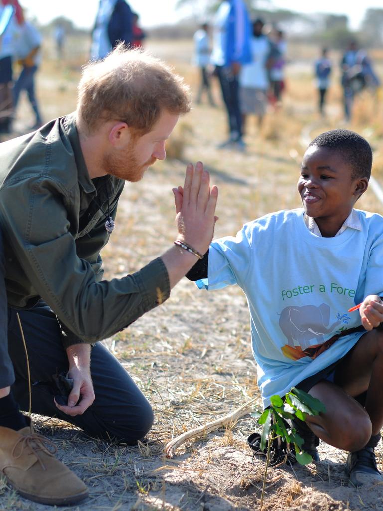 Prince Harry helps plant trees in Botswana. Picture: Dominic Lipinski — Pool /Getty Images.