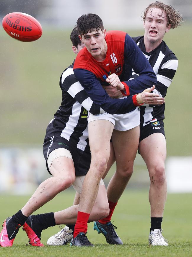 North Hobart's Tyler McGinniss. Picture: ZAK SIMMONDS