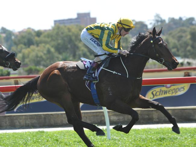 Kia Ora Koutou, ridden by Joseph Azzopardi, salutes at Belmont.