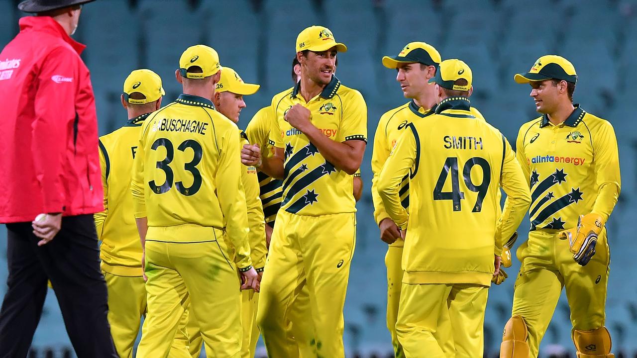 Australia v new best sale zealand live stream free