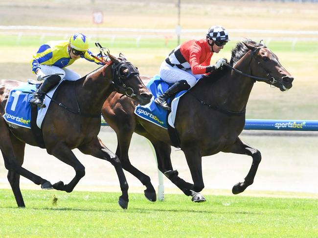 Revelare ridden by Ryan Hurdle wins the Sportsbet More Places Handicap at Sportsbet Sandown Lakeside Racecourse on January 25, 2025 in Springvale, Australia. (Photo by Brett Holburt/Racing Photos via Getty Images)