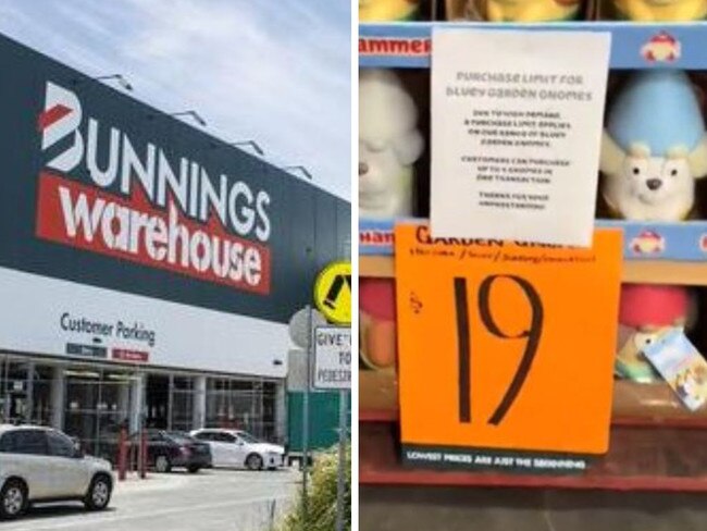 Bunnings sparks frenzy with $19 Bluey Hammerbarn garden gnome. Picture: TikTok