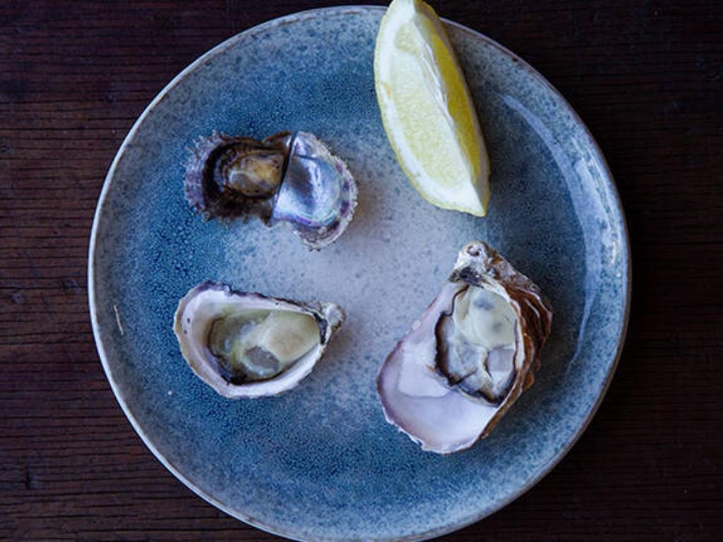 Broken Bay Pearl Farm Oyster Tasting. Picture: RedBalloon.