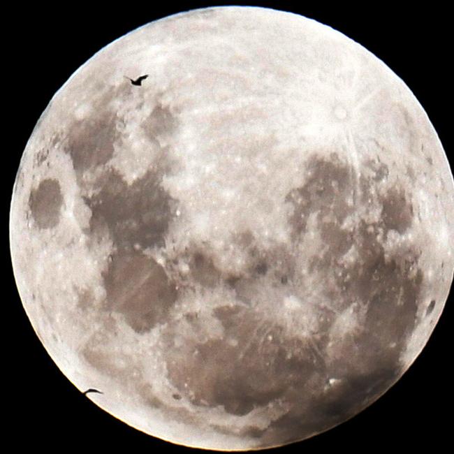 The moon rises over Melbourne before the triple eclipse. Picture: AAP/Tracey Nearmy