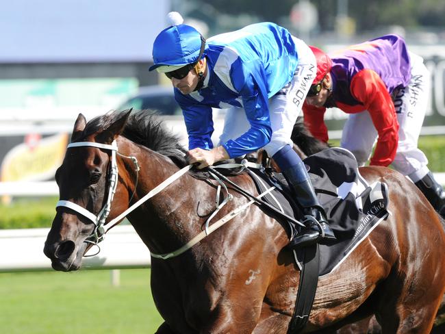 Another quality performance by Australia’s best racehorse, Winx, in the Group 1 Chipping Norton Stakes. Picture: Simon BullardBowman.