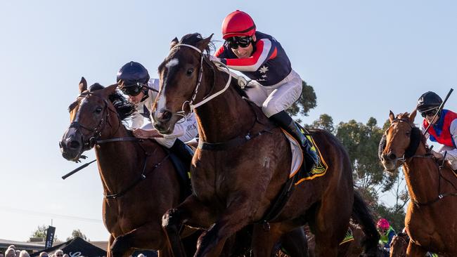 Air Assault winning the Balaklava Cup earlier this month. Picture: Makoto Kaneko