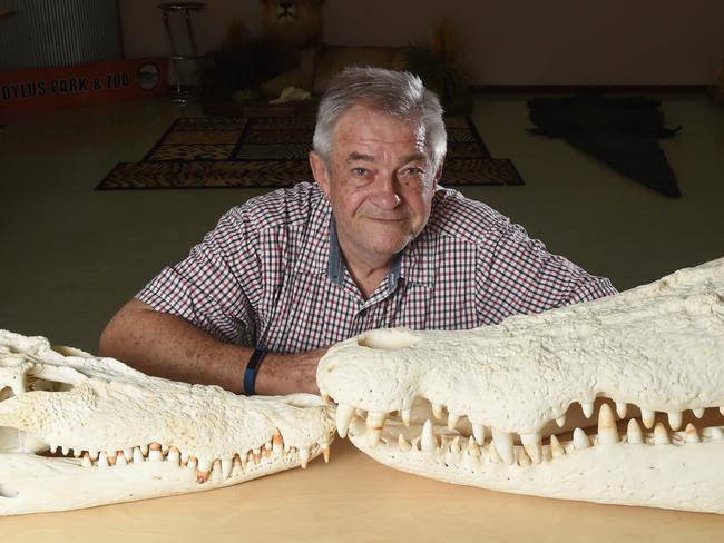 Professor Grahame Webb with the skull of a 5.5 meter monster crocodile - compared with a 3.3 meter crocodile skull at Crocodylus Park.