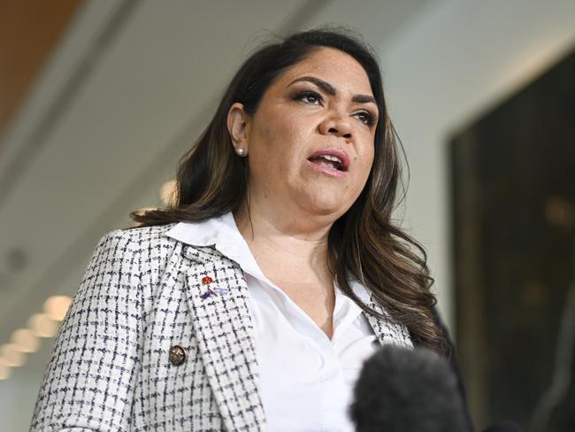 CANBERRA, AUSTRALIA  - NewsWire Photos - November 20, 2024: Senator Jonno Duniam, Senator Susan McDonald and Senator Jacinta Nampijinpa Price hold a press conference at Parliament House in Canberra. Picture: NewsWire / Martin Ollman