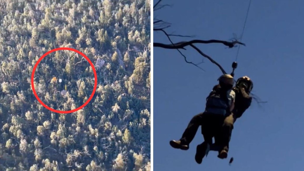 Wild moment paraglider gets stuck in tree