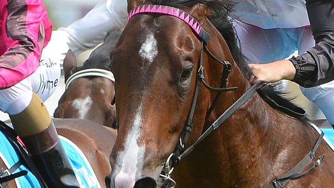 The Drinks Cart, ridden by Ryan Maloney, won the QTIS Two-Years-Old Handicap (900m) at the Gold Coast Turf Club on Wednesday, November 27, 2019. Picture credit: Grant Peters, Trackside Photography.