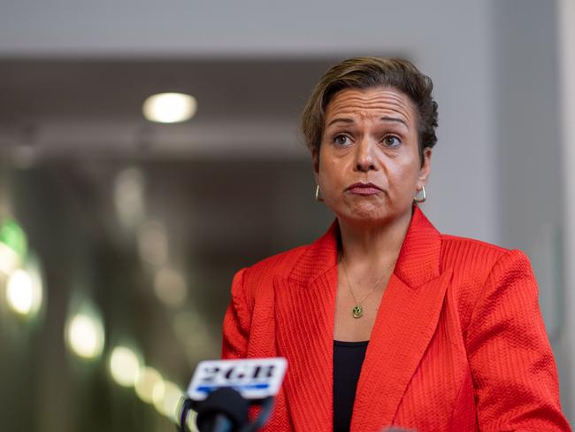 Member for Greenway and Minister for Communications, Michelle Rowland addresses the media during morning press conferences in Parliament House in Canberra. Picture: NCA NewsWire / Gary Ramage