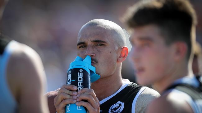 Sam Powell-Pepper played for the Port Adelaide Magpies in the SANFL. Picture MATT TURNER.