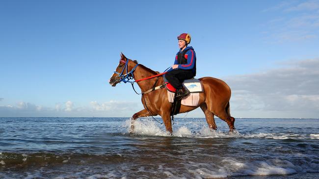 Track rider Billy Owen takes Melbourne Cup runner Single Gaze for a walk at Moridialloc beach. Picture: David Geraghty