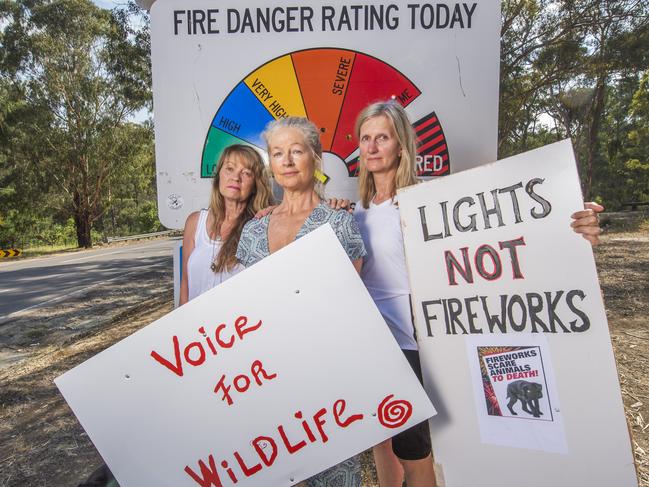 Sharon Murdoch, Jan Saunders and Mel Ellis want the CFA to ban permits for private firework displays. Picture: Rob Leeson