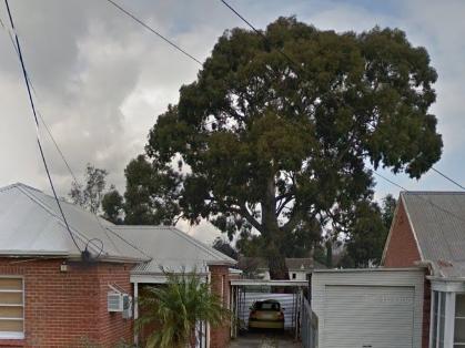 A 23m tall River Red Gum can be seen from the street in front of a property at 11 Second Ave, Ascot Park. Picture: Google Maps