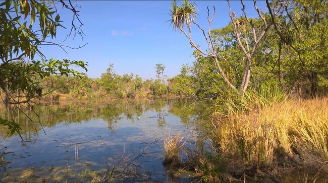 Police arrested four offenders in the vicinity of Daly River, a small town located 220km from Darwin. Picture: Instagram