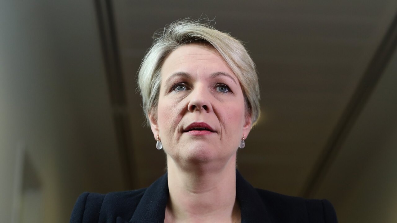 Tanya Plibersek avoids questions about Murray-Darling Basin plan
