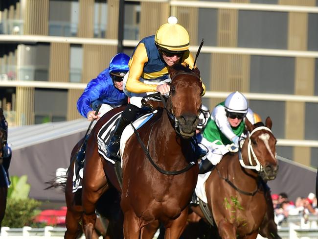 Stefi Magnetica holds off challengers to win the Stradbroke Handicap for Zac Lloyd and Bjorn Baker. Picture: Grant Peters - Trackside Photography