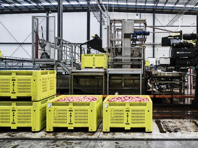 Pact Group crates and folding bins. Pic: Supplied.