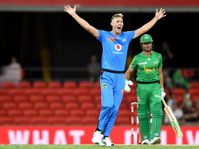 GOLD COAST, AUSTRALIA - DECEMBER 27: Billy Stanlake of the Strikers appeals to the umpire during the Big Bash League match between the Melbourne Stars and the Adelaide Strikers at Metricon Stadium on December 27, 2019 in Gold Coast, Australia. (Photo by Bradley Kanaris/Getty Images )