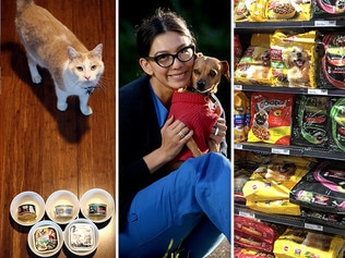 Pet food brand recalls: Are your animals at risk?