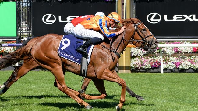 Sans Doute excels first-up and over the 1000m distance of the Carlyon Stakes. Picture: Racing Photos via Getty Images