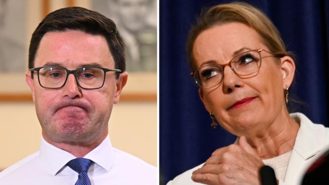 Liberal leader Sussan Ley and Nationals leader David Littleproud.