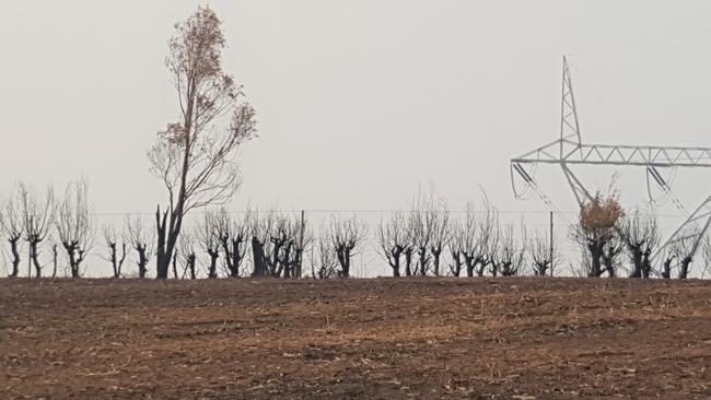 The scorched farm owned by the Sturgess family after the 2020 bushfires. Picture: Supplied