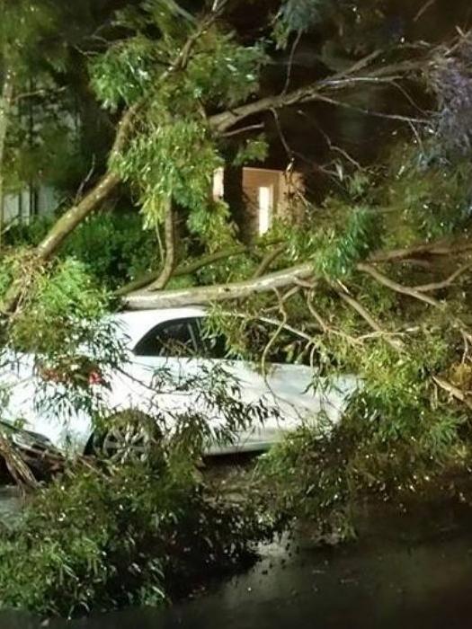 Sydney's Northern Beaches copped a belting from last night’s storms. Picture: Facebook/Narabeen Fire Station