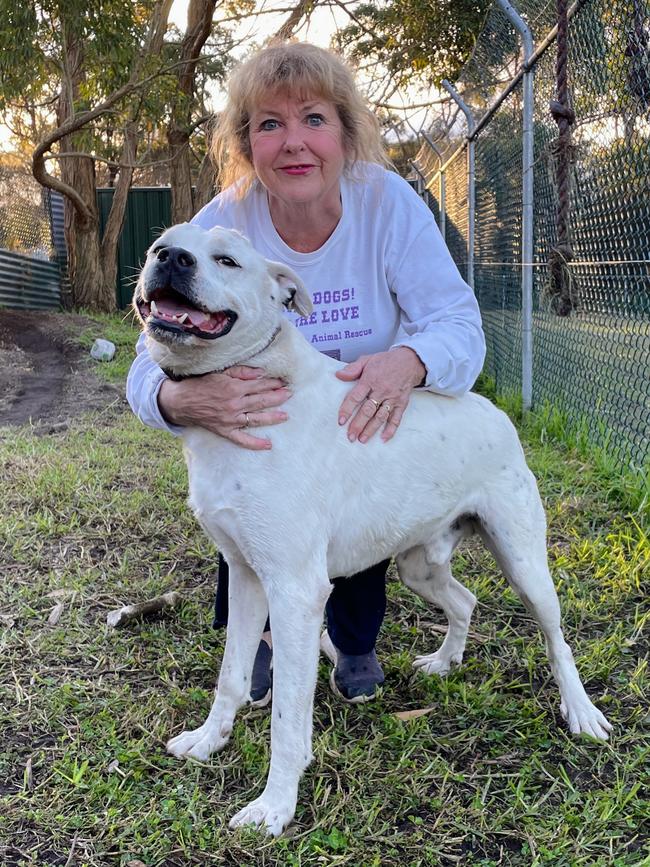 Julie-Ann Ehrlich and Wilbur at the Country Companion Animal Rescue in Helensburgh. Picture: Dylan Arvela