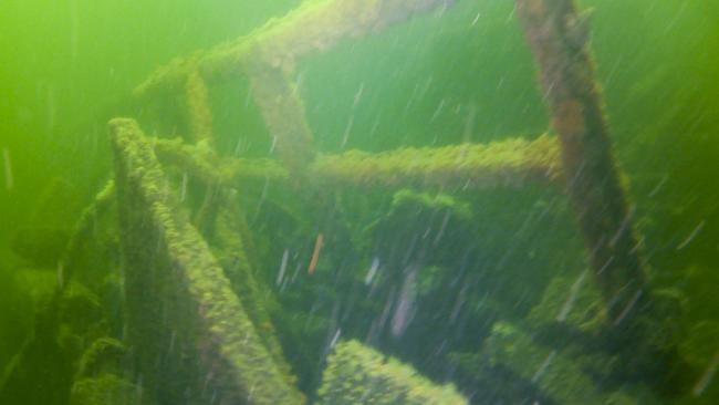 The Tasmanian University Dive Club on a recent dive around the wreck of the Lake Illawarra. Picture: Aruna De Silva