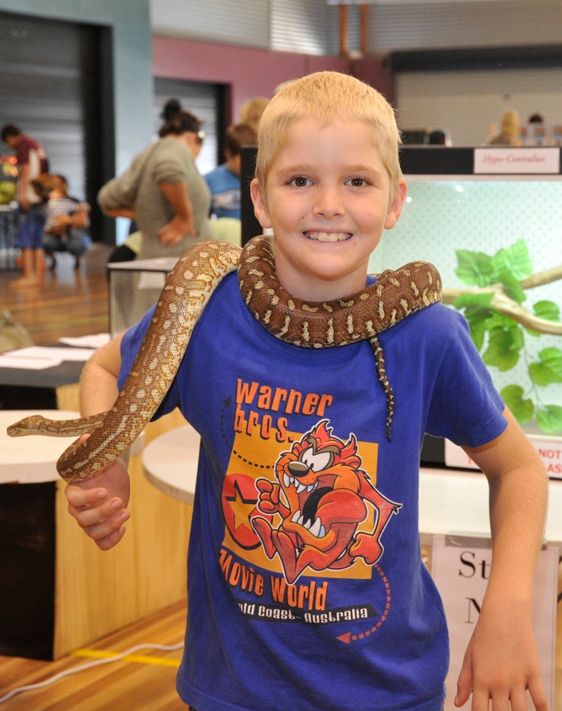 Reptile Expo: Zac Badcock, aged 10 holding a Hypo-Centralian snake.