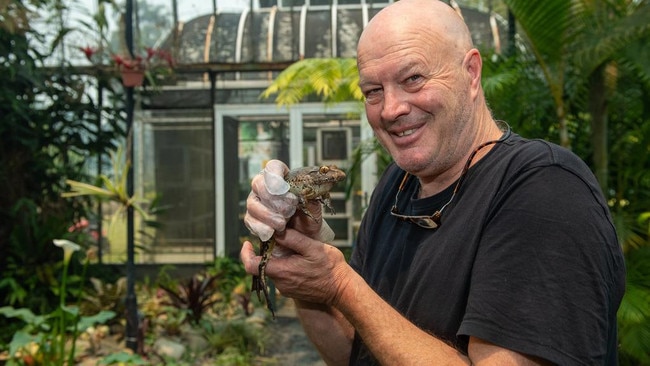 Peter Johnson with a giant barred frog when the Frogarium operated from Garden Mania at Bonville. Picture: Supplied.