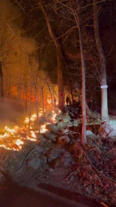 Crews Battle Brush Fire in Boston Suburb