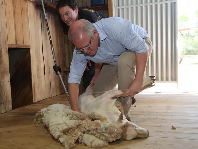 Prime Minister Scott Morrison tried his hand at shearing a sheep, with help from shearer James Amey, 31. Picture Gary Ramage