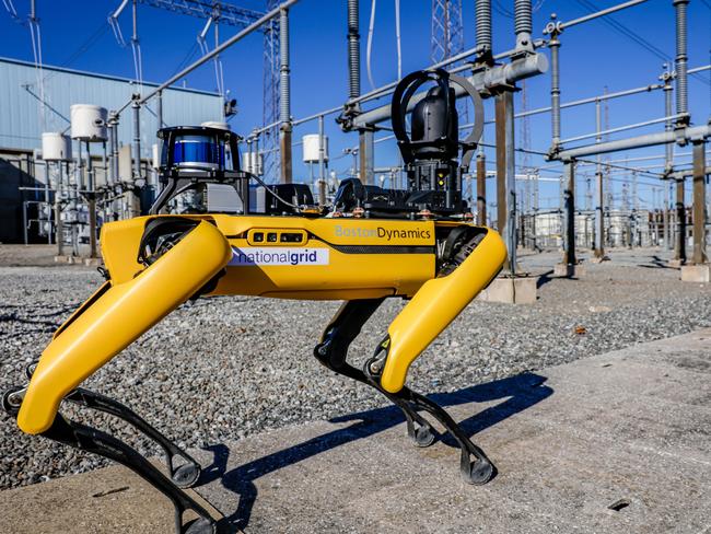 IBM has been working with Boston Dynamics on their robot dog Spot, using artificial intelligence to make it useful for a range of tasks in the energy sector. Picture: IBM