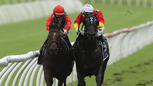 SYDNEY, AUSTRALIA - APRIL 20: Jamie Khan riding Kintyre wins Race 4 The Gow-Gates Frank Packer Plate during Sydney Racing at Royal Randwick Racecourse on April 20, 2024 in Sydney, Australia. (Photo by Jason McCawley/Getty Images)